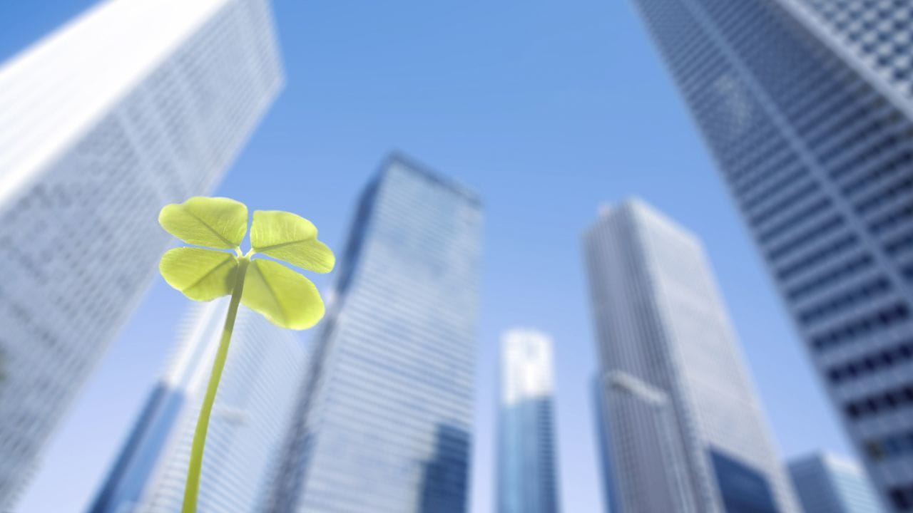 Green clover leaf against background of high-rise buildings