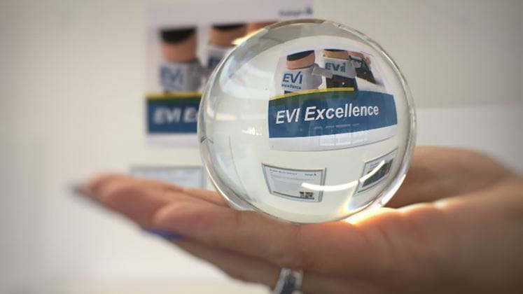 Illustration of glass ball on hand with the writing EVI Excellence